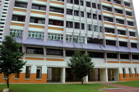 Blk 155 Gangsa Road (Bukit Panjang), HDB Executive #212542